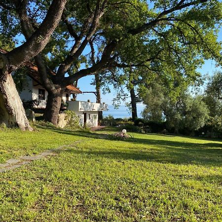 Wild Oaks Cottage กริโอปียี ภายนอก รูปภาพ