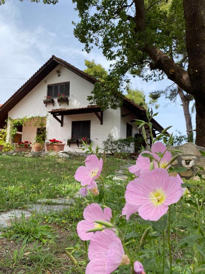 Wild Oaks Cottage กริโอปียี ภายนอก รูปภาพ