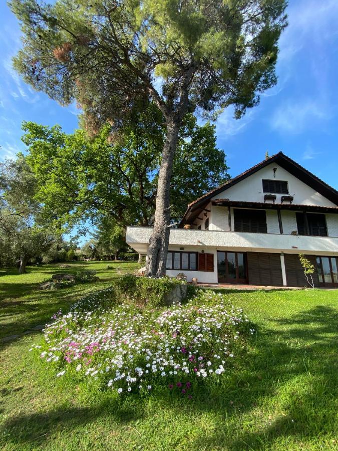 Wild Oaks Cottage กริโอปียี ภายนอก รูปภาพ