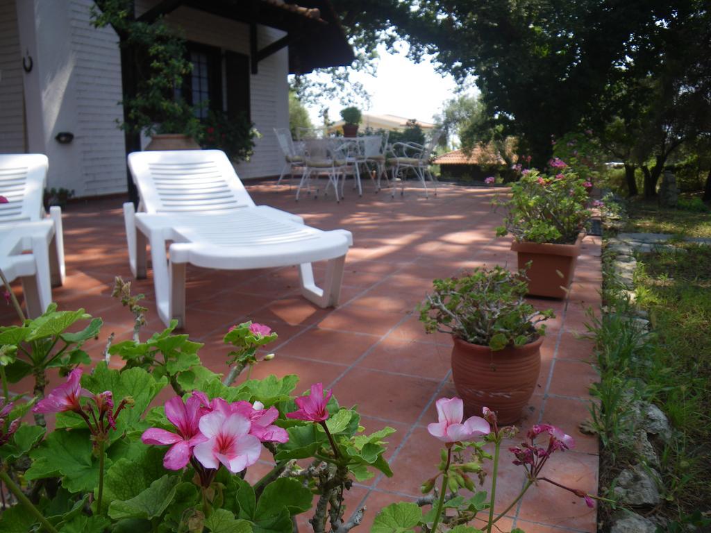 Wild Oaks Cottage กริโอปียี ภายนอก รูปภาพ